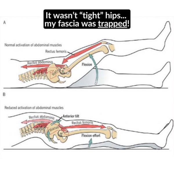 Sichere und ausgewogene Scheibe